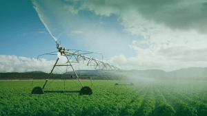 Joget Case Study: Workflow System for Plantation Operations